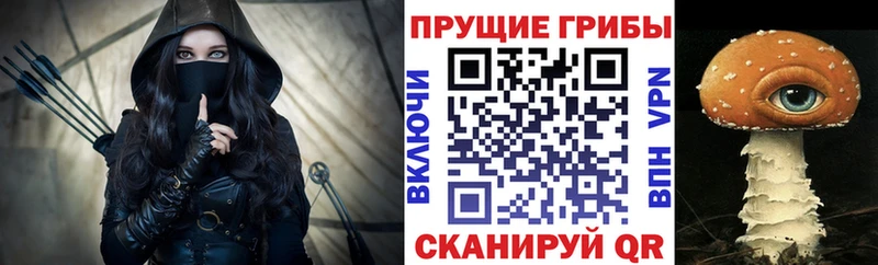 наркотики  Магнитогорск  Псилоцибиновые грибы MAGIC MUSHROOMS 